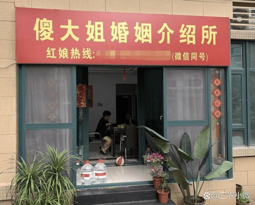 5大冷門暴利行業 婚姻介紹所,寵物服務,高端水果市場,高端婚禮策劃